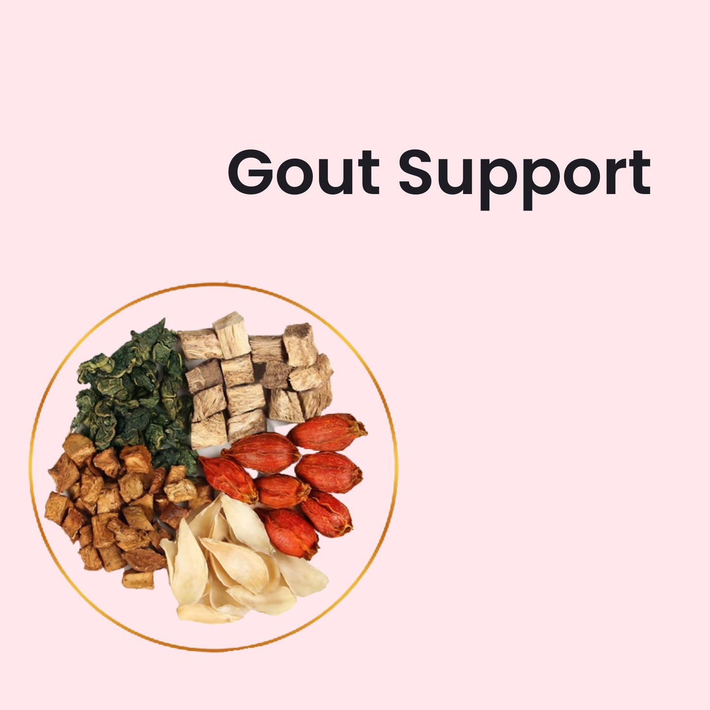 Gout Detox Support Tea (20 packets)