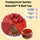 Rebuild™ Postpartum 5 Red Tea: Nourish Energy • Restore Vitality • Gentle Recovery (20 packets)